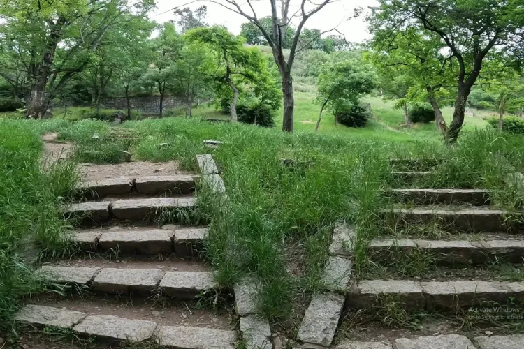 Parc din Cluj-Napoca, comparat cu o pajiște comunală! Clujenii se plâng că locul e deplorabil: ,,Arată dezolant și neîngrijit”