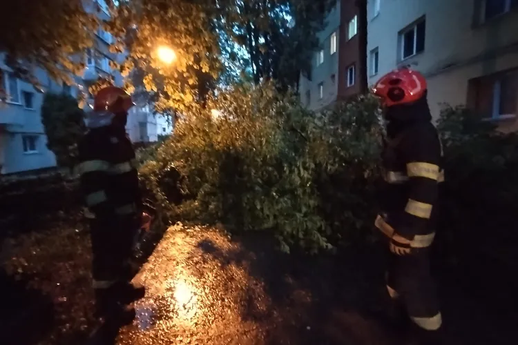 Cluj-Napoca: Furtuna a doborât copaci în cartierul Mănăștur FOTO