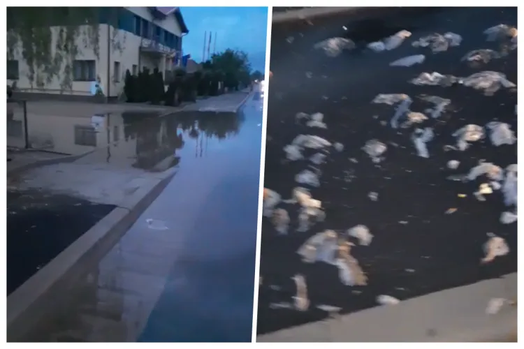 VIDEO | Seară de coșmar pentru mai mulți clujeni: „A dat rahatul peste noi, la propriu. Ne-a ieșit în curți și-n baie! Plătim bani grei pentru mizerie”