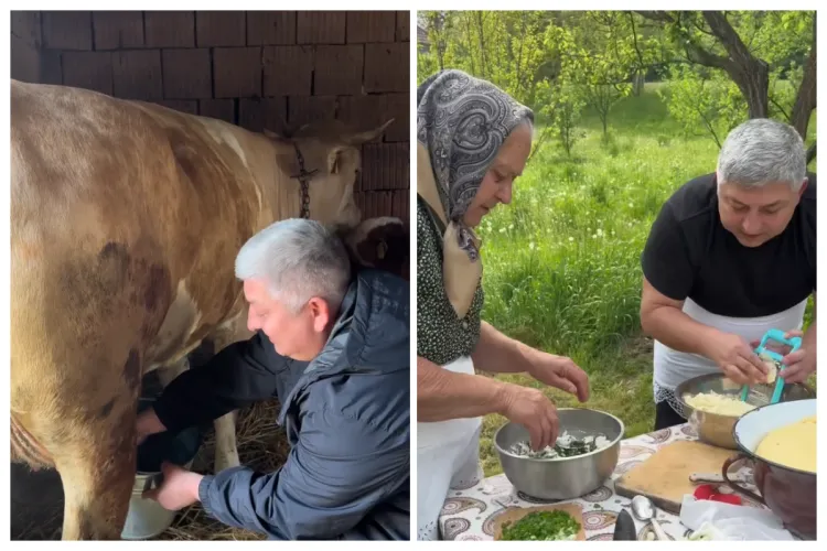 Alin Tișe, vot de zile mari „la Pălatca, la muls vaca!”. Nu e glumă. Președintele CJ Cluj a muls-o pe Cinoș și a făcut plăcinte: „O prietenă bună” VIDEO