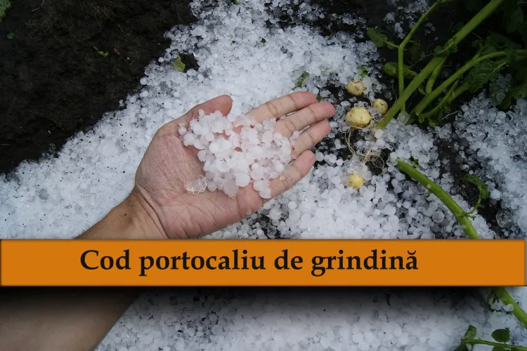 Natura se dezlănțuie în Cluj: A fost emisă o avertizare RO-ALERT! E COD PORTOCALIU de averse torențiale și grindină / Vezi ce zone sunt vizate de vijelie