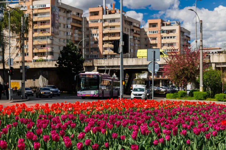 Soare, căldură și chef de plimbare: Clujul se bucură de vreme perfectă pe 29 aprilie!