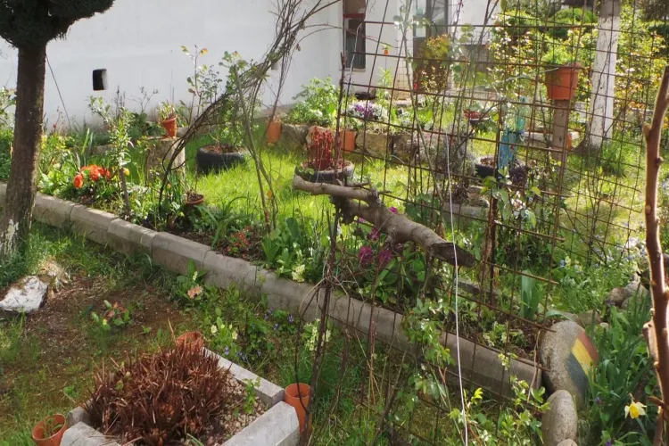 Clujul își premiază cele mai curate blocuri: 752.000 de lei puși la bătaie pentru asociațiile care transformă curățenia în artă