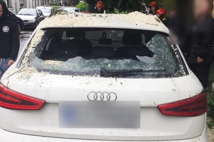 Panică pe o stradă din Cluj! Două mașini, DISTRUSE de un copac uriaș căzut din senin. Pompierii au intervenit de urgență