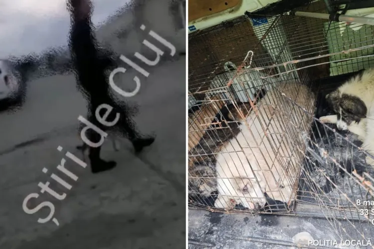 VIDEO Scandal monstru în Florești! Proprietarul câinilor agresivi a amenințat o tânără cu furca: „Dacă-ți dau o furcă după cap, salvarea te duce de aici”