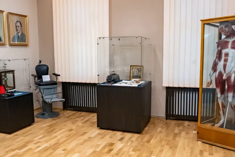 Premieră la Cluj: Expoziție de preparate anatomice umane REALE, vizitabilă de Noaptea muzeelor! Avertisment: Exponatele vă pot afecta emoțional