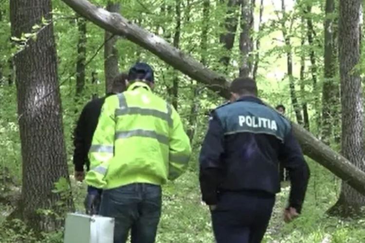 Tragedie într-o pădure din Cluj! Un bărbat de 58 de ani a murit după ce a fost lovit de un buștean 