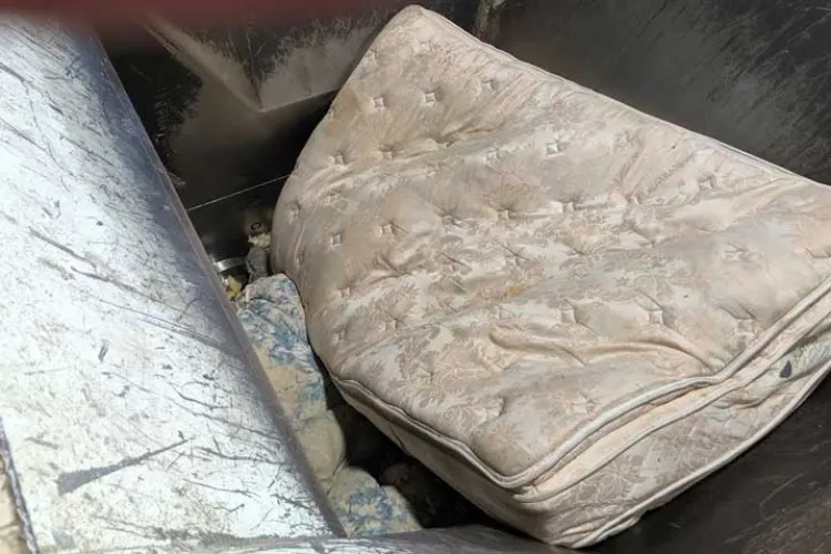 În Cluj poți sta și cu chirie „zero”: Dacă accepți o saltea infectă „uitată” lângă un bloc din Mănăștur! Clujenii cer o rezolvare: „Este o mizerie”