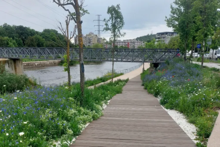 Bunul simț e floare rară! Malurile Șomeșului din Cluj-Napoca, împânzite de ,,cadouri” lăsate de animalele de companie FOTO 