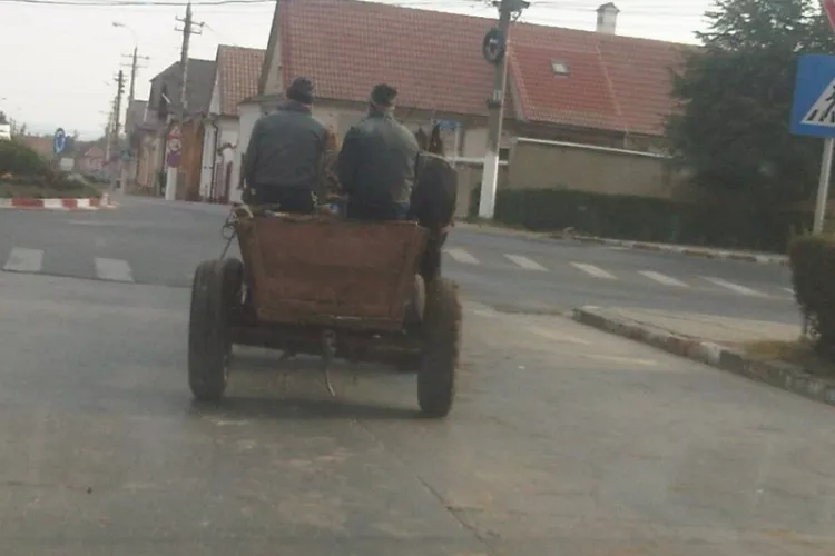 Scene incredibile cu doi bărbați din Cluj! Au furat două biciclete și le-au dus cu căruța. Polițiștii au intervenit de urgență 