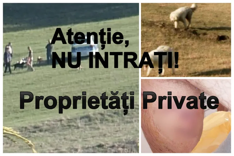 Primarul din Florești, apel către clujeni, după ce mai mulți localnici au fost mușcați de câini: Atenție, NU intrați! Sunt proprietăți PRIVATE!