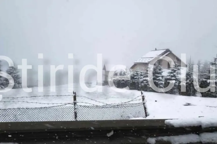 VIDEO. Surprize de proporții în luna mai! Ninge ca-n povești într-o localitate din județul Cluj! Iarna refuză să plece