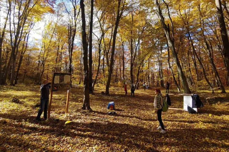 Lasă orașul în urmă pentru o săptămână și vino la Zilele Pădurii Făget! Vezi ce activități gratuite ți-au pregătit organizatorii