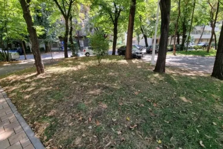 Cluj-Napoca: Au ras gazonul și au pus folie și pietre! Clujenii cer intervenția autorităților: „Contravine reglementărilor legale”