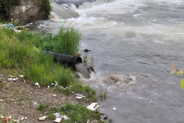Poluare în Someș! Ape insalubre, care put îngrozitor: „La cum mirosea veneau dejecții și din canalizare prin conducta care dă în Someș” FOTO