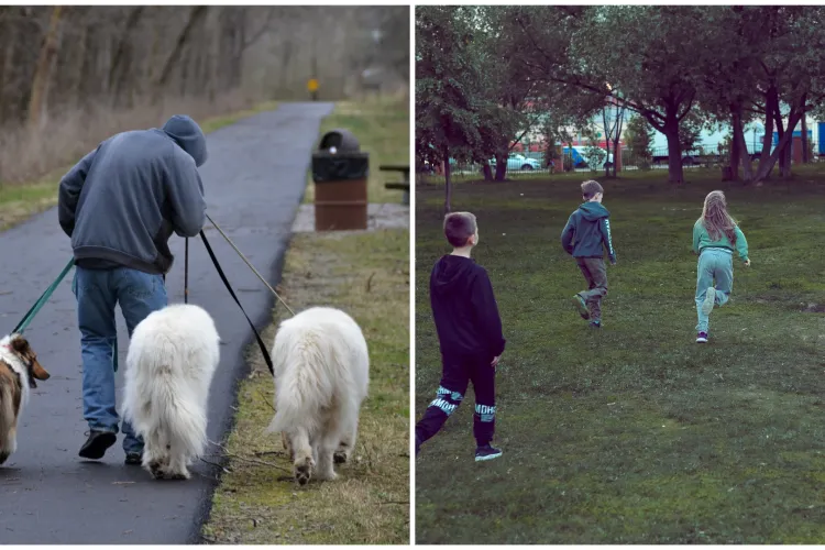 Nesimțire mare într-un parc pentru copii din Cluj, transformat în teren de plimbat câini: „Fac ce vor și mai sunt și agresivi!”