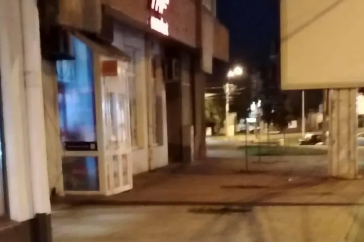 Apariție neobișnuită pe o stradă din Cluj. Ce animal se plimba liniștit prin piață în miez de noapte FOTO