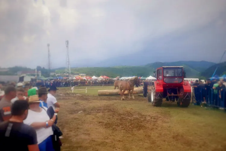 Doi copii și un bărbat răniți de cai la Concursul ecvestru de la Gilău. Au fost transportați la spital