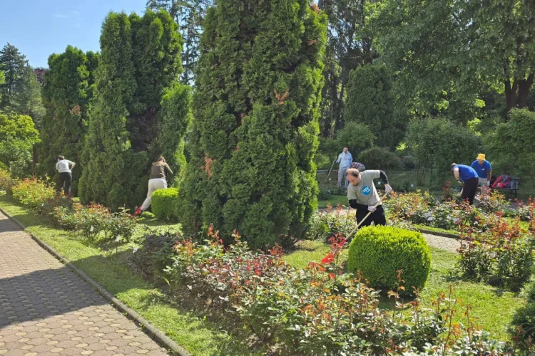 Team-building cu suflet la Grădina Botanică din Cluj! Angajații unei companii au lăsat biroul pentru un proiect verde FOTO