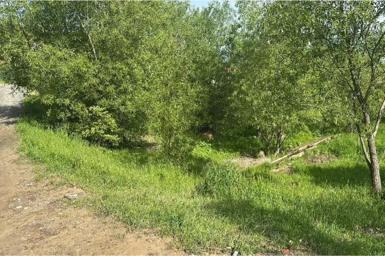 Suspiciuni privind calitatea apei dintr-un izvor local: Ce râu ar trebui evitat până apar mai multe dovezi