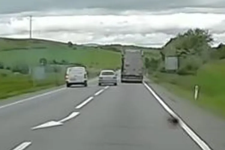 Cluj: Depășire periculoasă, la un pas de a se transforma în tragedie. Cum prevenim astfel de situații VIDEO