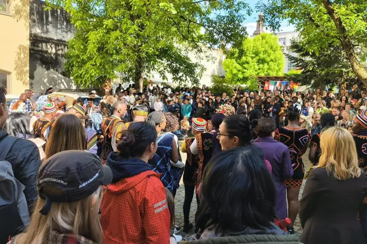 Noaptea Muzeelor 2025, un succes total la Cluj! Valuri de vizitatori și record de participare