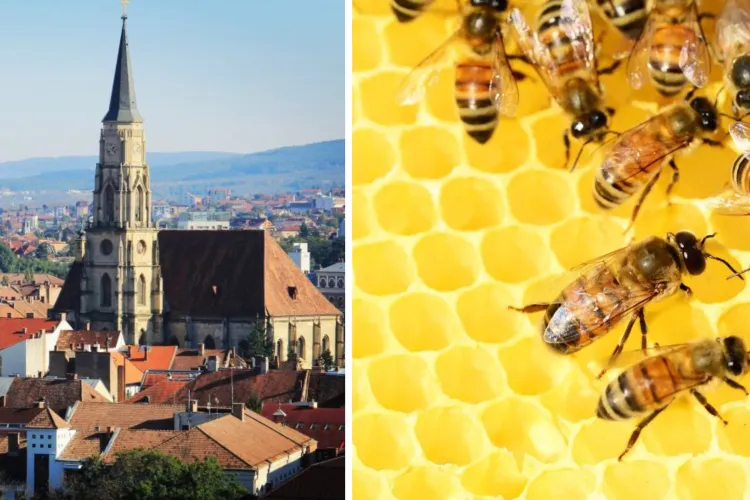 Percheziții și anchetă de amploare în Cluj, într-un dosar de fraudă cu subvenții europene  al Parchetului European condus de Kovesi