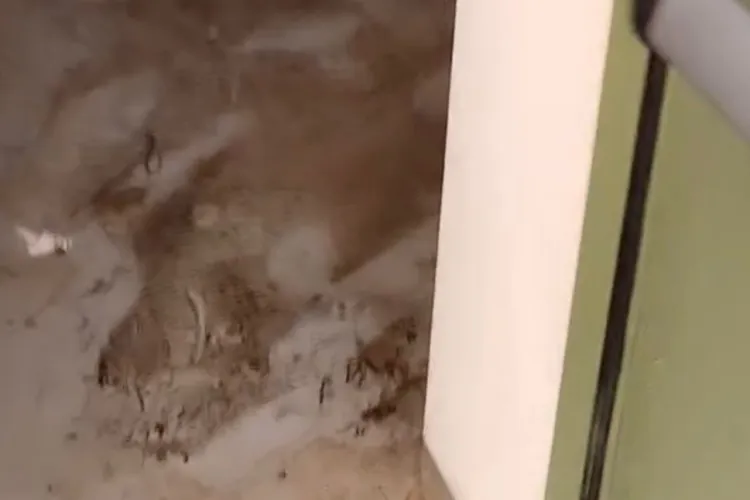 Mizerie incredibilă într-un parking din Mănăștur, din Cluj, care a enervat localnicii: „Zici că-i o parcare dintr-un film horror. De o lună e așa” VIDEO