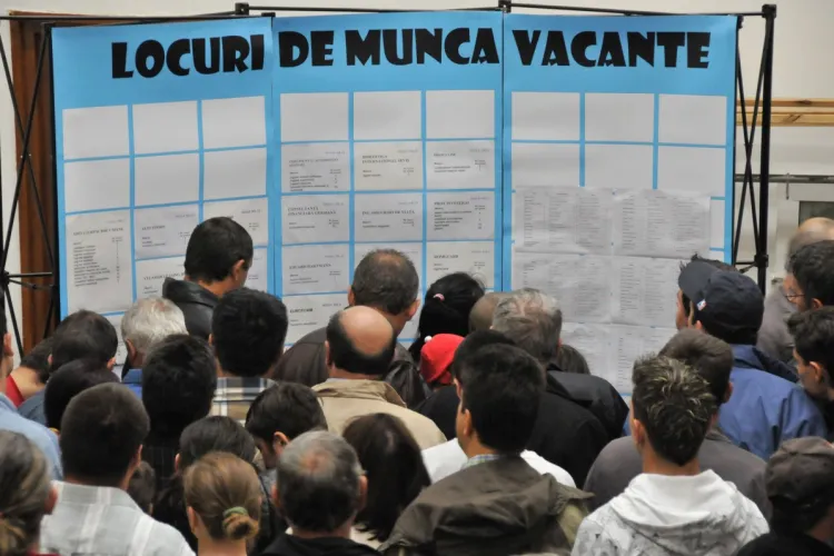 Rata șomajului în scădere, dar tinerii rămân „victimele” pieței muncii. Clujul, tot sub media națională