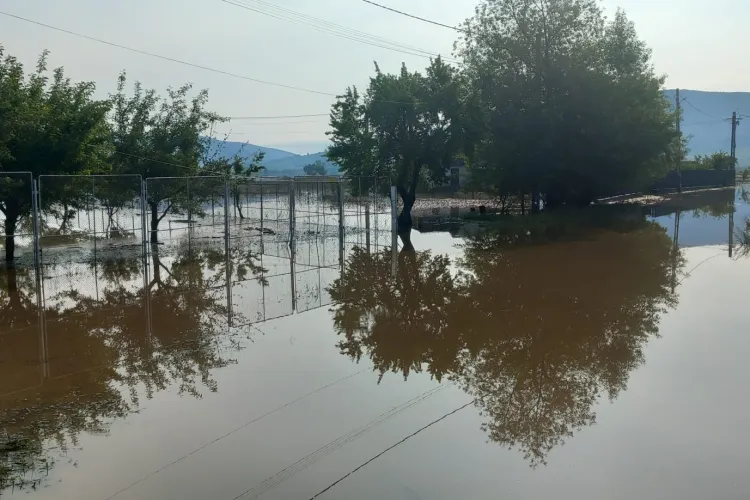 Solidaritate în fața naturii dezlănțuite! ISU Cluj a trimis echipaje să evacueze apa din gospodăriile afectate de inundații! FOTO/VIDEO