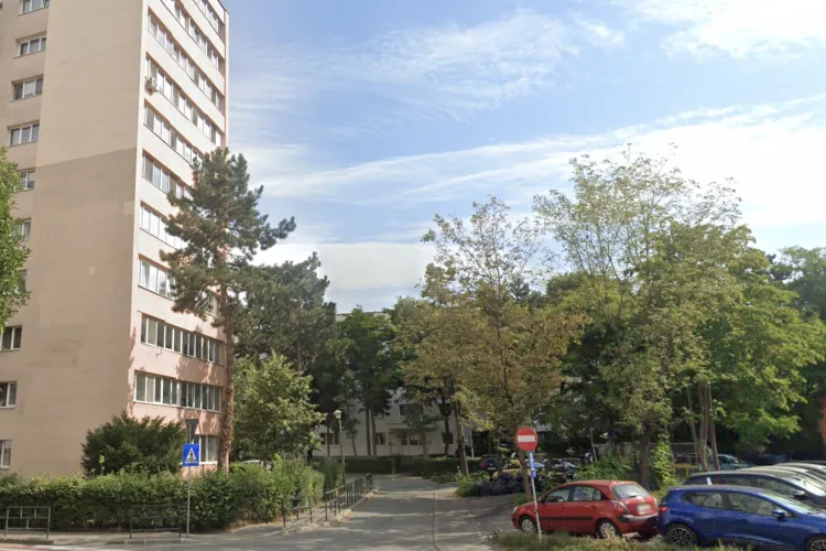 Coșmar printre blocuri: Zeci de ciori au pus stăpânire pe Mănăștur! Locatarii disperă: „Ne-au furat somnul și liniștea”!