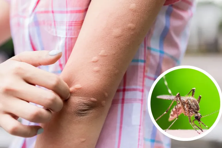 Țânțarii îi scot din minți clujeni: Cereri disperate din mai multe cartiere. Vezi când vor avea loc acțiunile de dezinsecție pe domeniul public