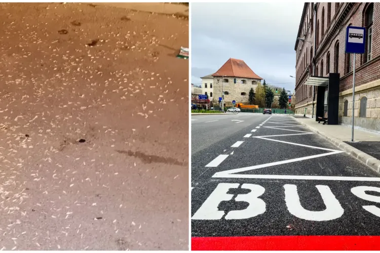 Stație de autobuz din Cluj, transformată în groapă de gunoi: „Toată stația arată deplorabil” după fiecare noapte