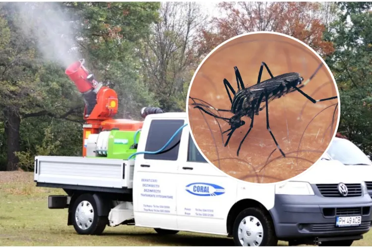 Începe dezinsecția în Cluj-Napoca. Ce efect au substanțele Cymina Plus și Vectobac WG, împrăștiate pe timpul nopții 