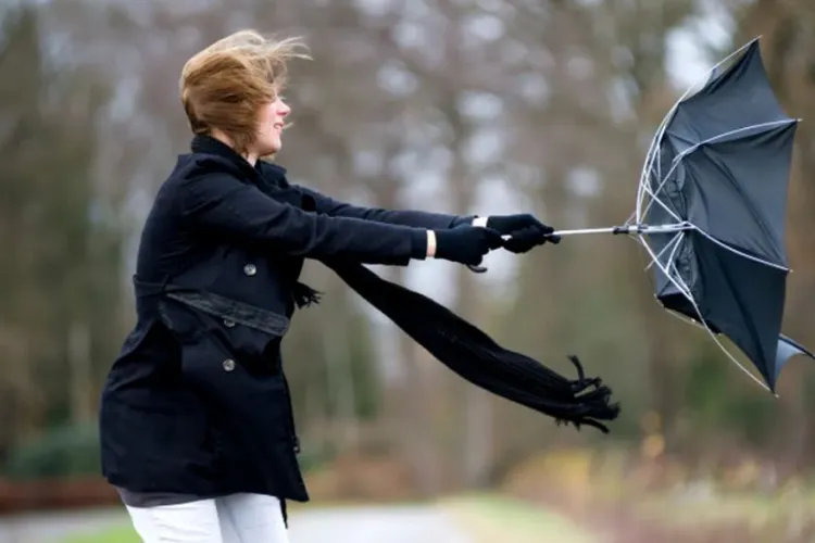 Alertă IMEDIATĂ de vânt puternic pentru zona metropolitană Cluj-Napoca și orașele Turda și Câmpia Turzii