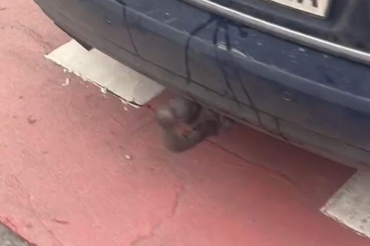 Parcare cu tupeu maxim lângă o grădiniță din Cluj: Un șofer comod și-a parcat mașina fix pe zebră. „Copiii noștri sar peste mașină, sau cum?” VIDEO