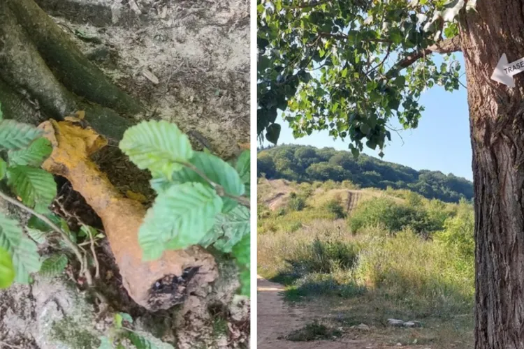 Pirotehniștii au intervenit în Florești! Trei ampenaje de bombă, ridicate din apropierea unei baze sportive