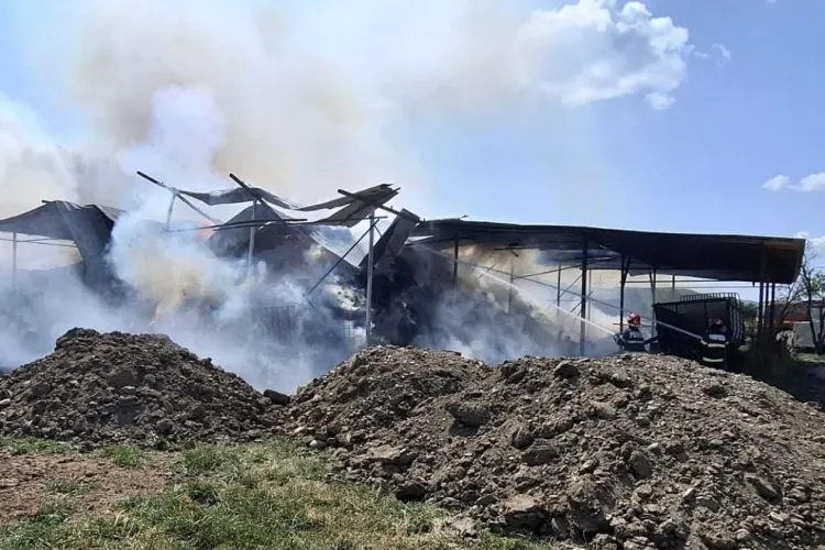 Incendiu devastator la Cluj! 6000 de baloți s-au făcut scrum! Pompierii s-au luptat eroic cu flăcările