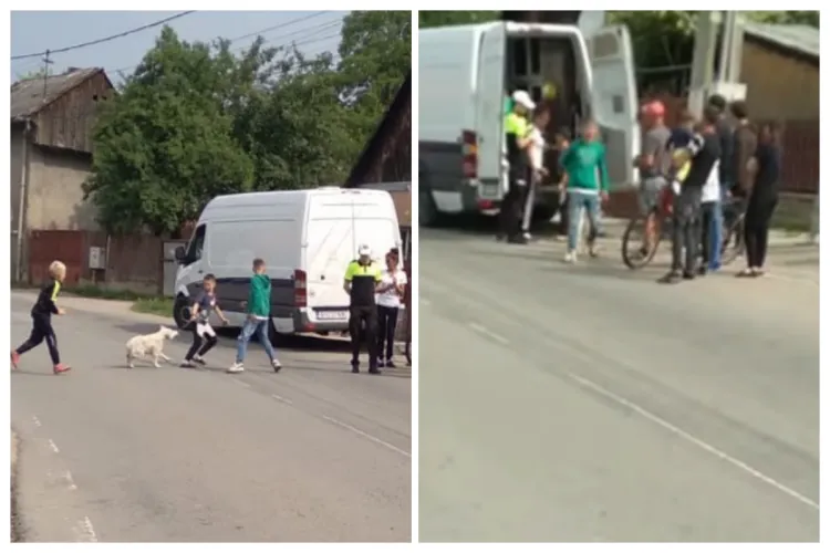 Scene de groază la Huedin: Acuzații grave de câini luați din curțile oamenilor pentru a fi uciși cu sânge rece. La mijloc ar fi sume mari de bani VIDEO