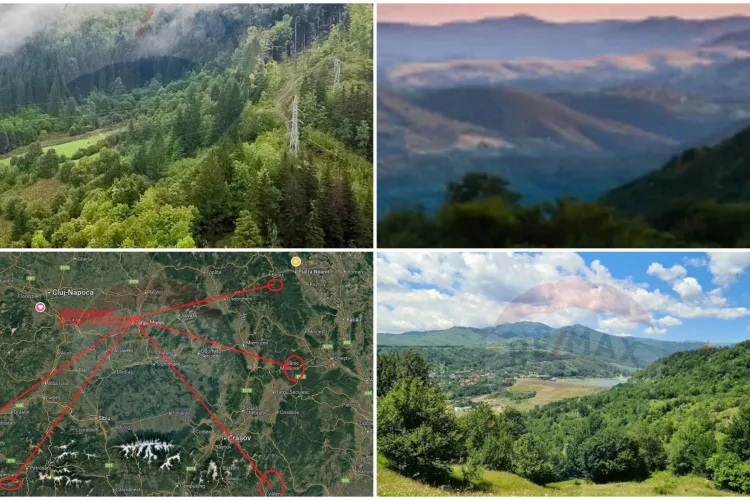 După apartamente și case se scot la vânzare și pădurile. Multe milioane de euro pentru 2.200 de hectare care străbat și județul Cluj