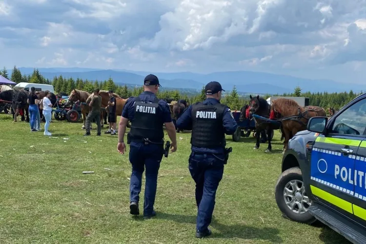 Cluj: Tragedia calului Falko nu se repetă! Poliția și veterinarii verifică festivalurile dedicate cailor. S-a lăsat cu amenzi FOTO/VIDEO 