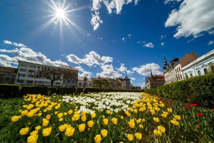 Cum va fi vremea în Cluj-Napoca în această săptămână, în perioada 10-15 iunie. Când ar trebui să ne așteptăm la ploi