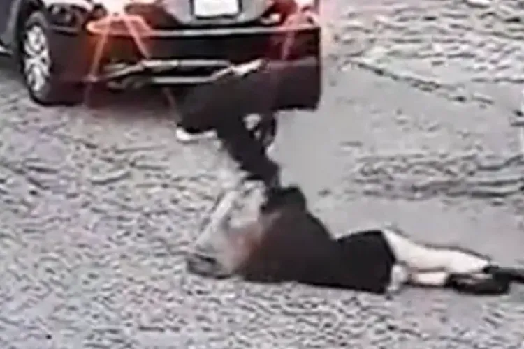 Scene de cruzime extremă trăite de o adolescentă din Cluj: Un bărbat căsătorit cu 2 copii a legat-o cu o frânghie de BMW și a târât-o pe drum. Din gelozie!