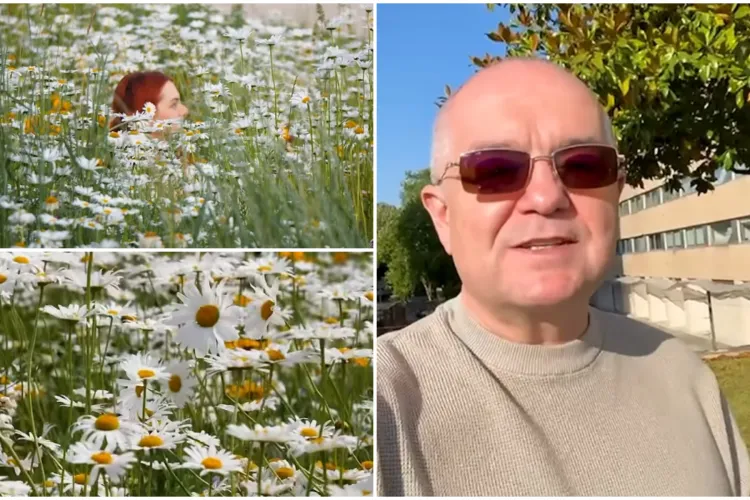 VIDEO. De ce nu a fost cosită iarba de pe malurile Someșului. Explicație fabuloasă a lui Emil Boc: „Eu zic că a meritat”. Imagini de colecție 