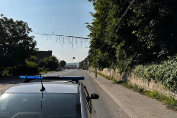 Pericol în Cluj! Un copac a căzut pe cablurile electrice, iar traficul a fost blocat. Pompierii au intervenit de urgență 