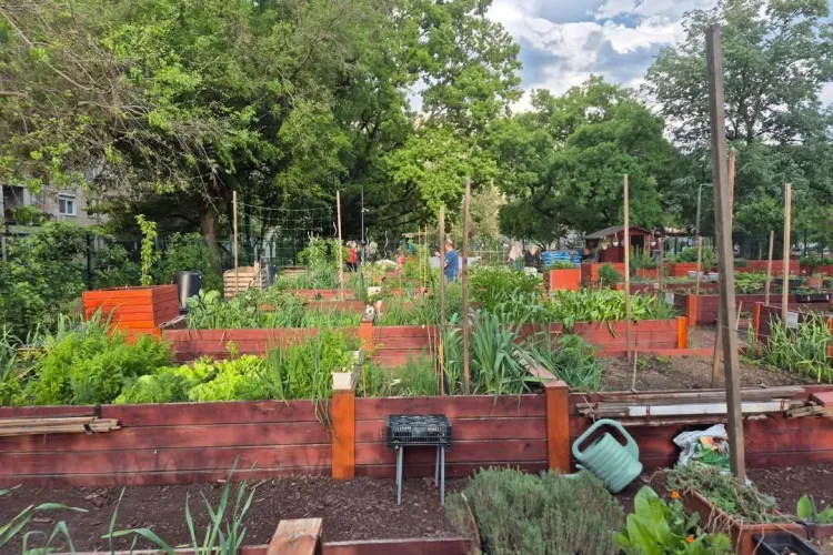 Curțile blocurilor pot deveni livezi premiate! ONG din Cluj cere schimbarea regulamentului „Curățenie Generală” al Primăriei