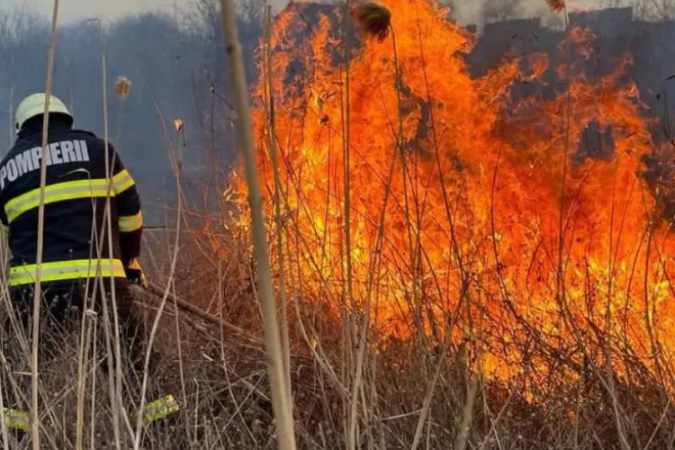 Eveniment deosebit de grav la Cluj: Un bărbat este în stare critică după ce a fost cuprins de un incendiu de vegetație. Are arsuri pe 50% din corp