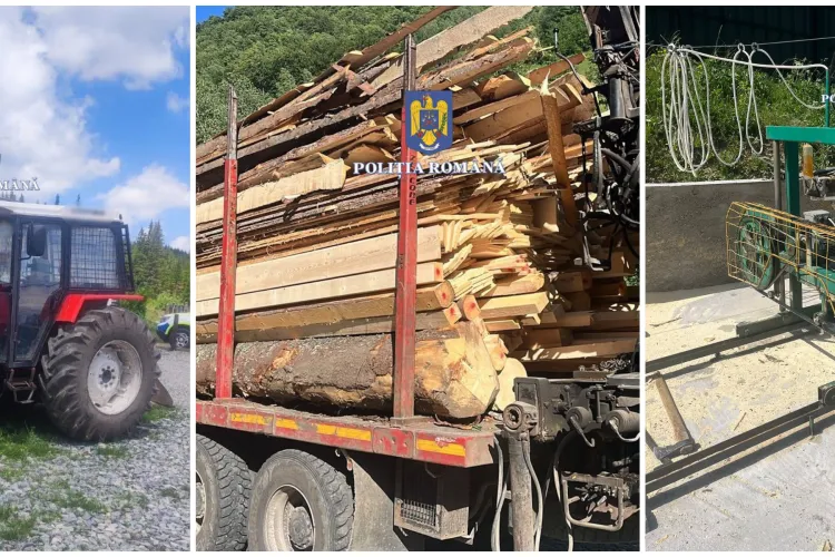Gospodării percheziționate în Cluj într-un dosar de tăieri ilegale: Poliția, mascații și Garda Forestieră au intervenit în forță. Ce au găsit VIDEO