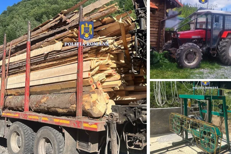 Război împotriva mafiei lemnului în Cluj: Polițiștii au găsit lemn furat și unelte de prelucrare în percheziții fulger VIDEO