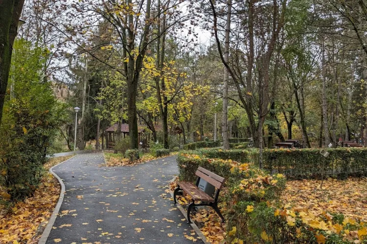 Stăpânii de câini din Cluj cer ajutor! Țarcurile din Parcul Detunata, un coșmar cu noroaie, rase amestecate și zero condiții decente